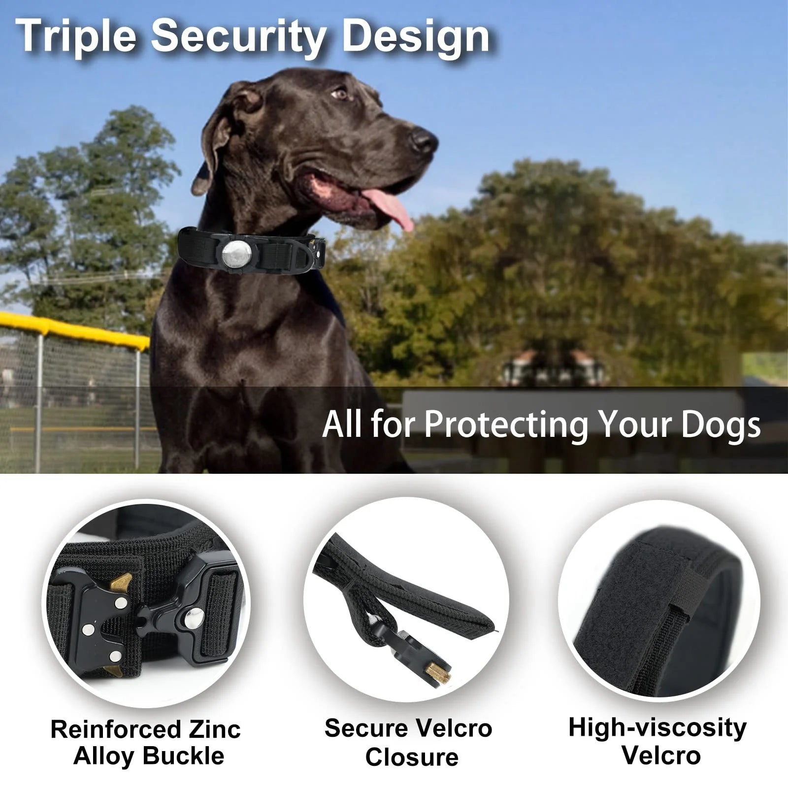 Ultimate Tactical Dog Collar - Durability Meets Comfort