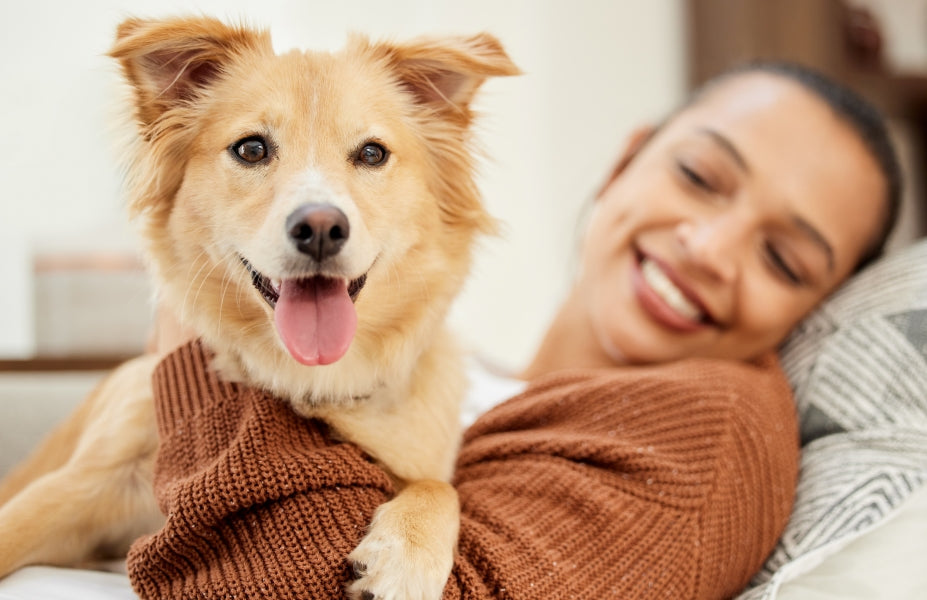 PawGuard™ Pet Feeding Mat!